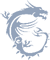 MSI